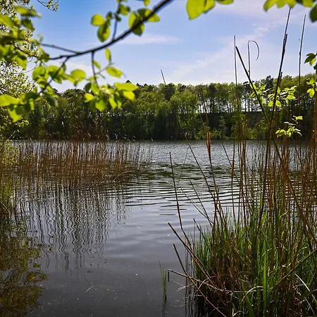 Tiny House Pioneer 2 - Salemer Salem (Schleswig-Holstein)