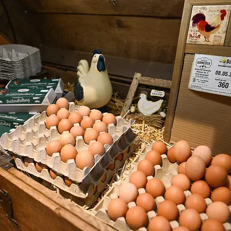 Tiny House Pioneer 2 - Salemer *